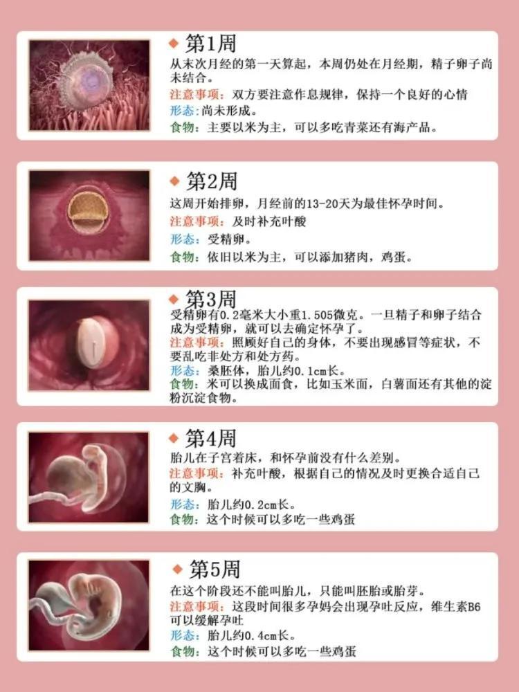 孕妇营养补充的时机与重要性