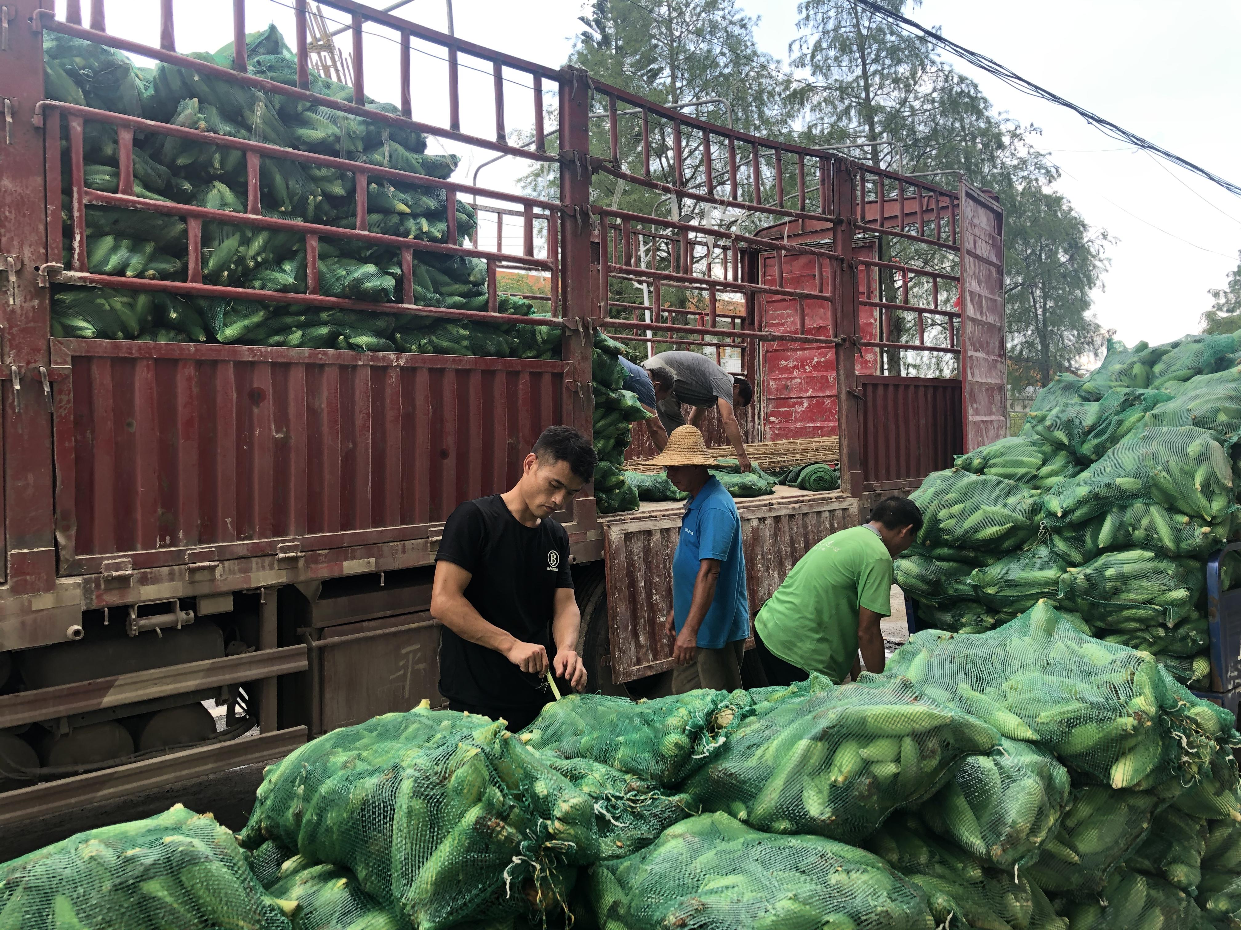 广东水果超市有限公司，繁荣的水果产业中的一颗璀璨明珠