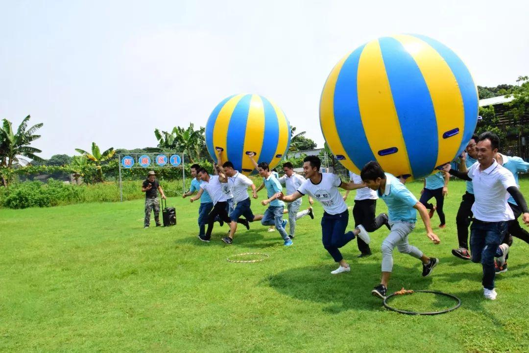 广东项目申报有限公司，引领项目申报新时代的先锋力量