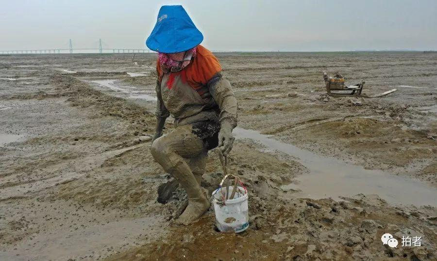 广东省水田垦造，重塑农业生态与提升经济效益的双向路径