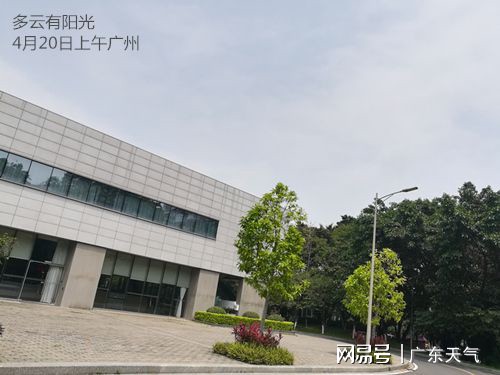 广东青腾集团有限公司，卓越发展的蓝图与未来展望