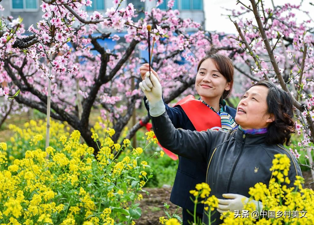 江苏神斧科技，引领科技创新的先锋力量