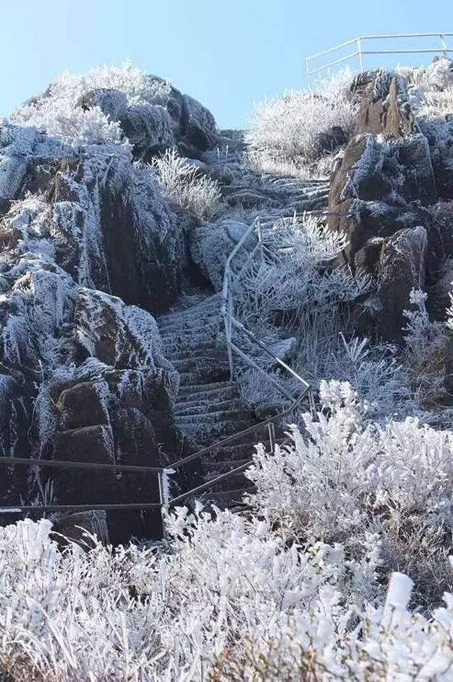 广东省的罕见下雪景象