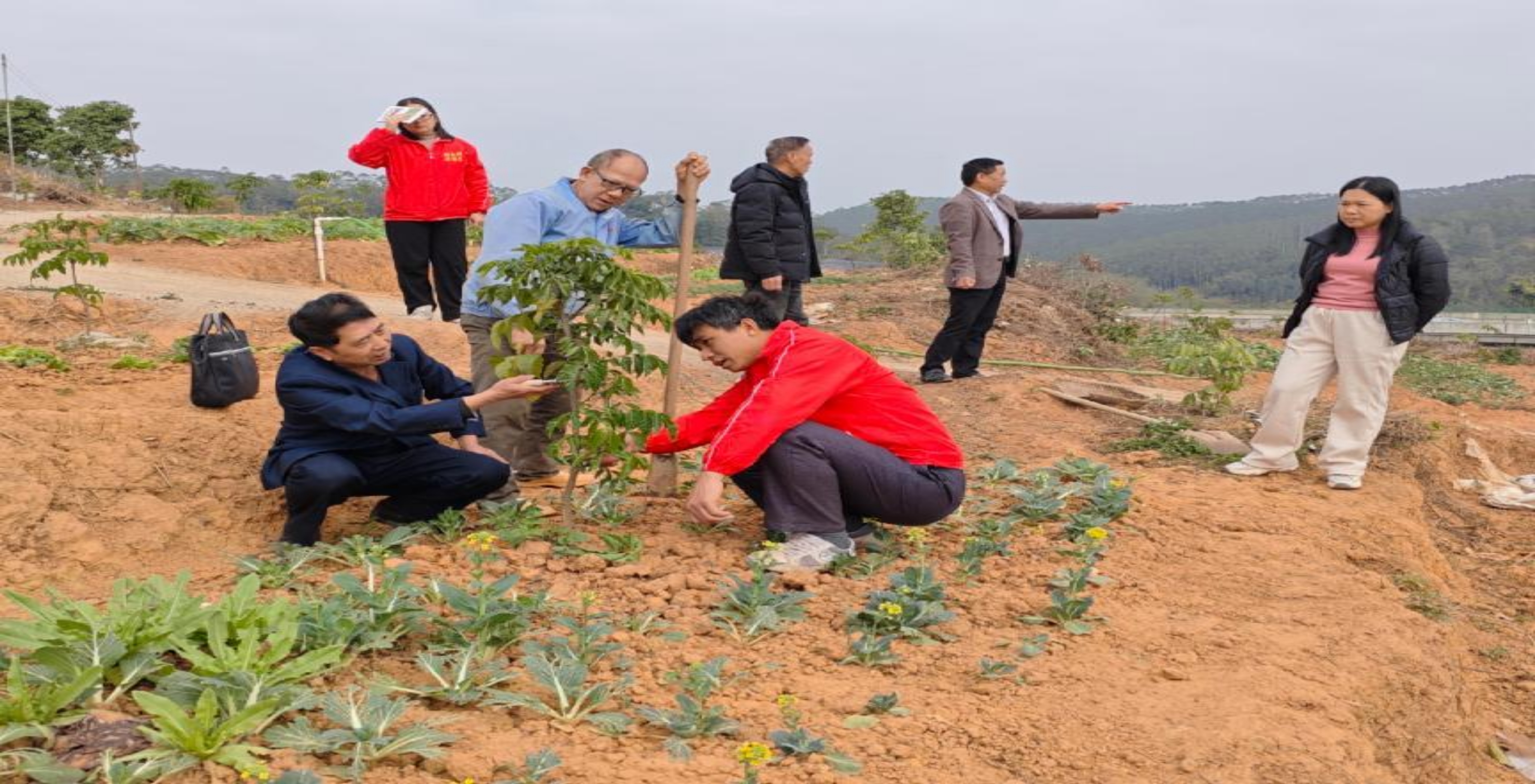 广东省郁南县劳模，辛勤耕耘的典范与时代的标杆