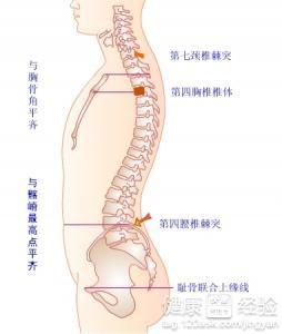 轻微压缩性骨折半个月，恢复之路与应对策略