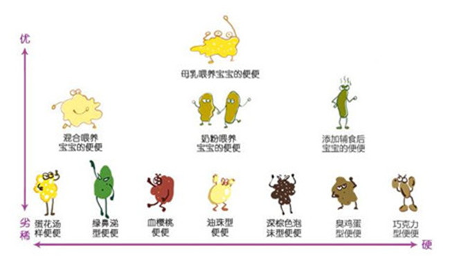 十一个月宝宝大便次数，了解、观察与应对