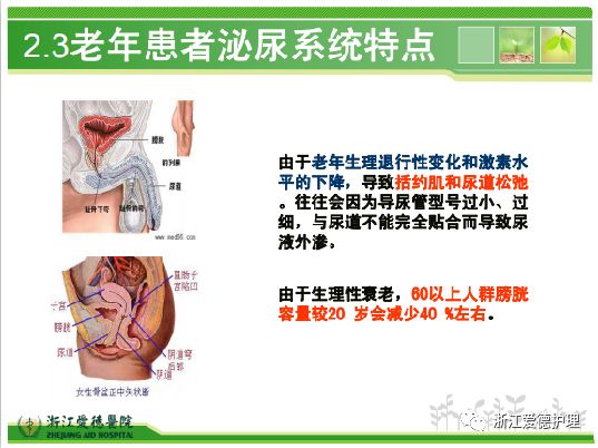 导尿管留置一个月，护理、挑战与应对策略