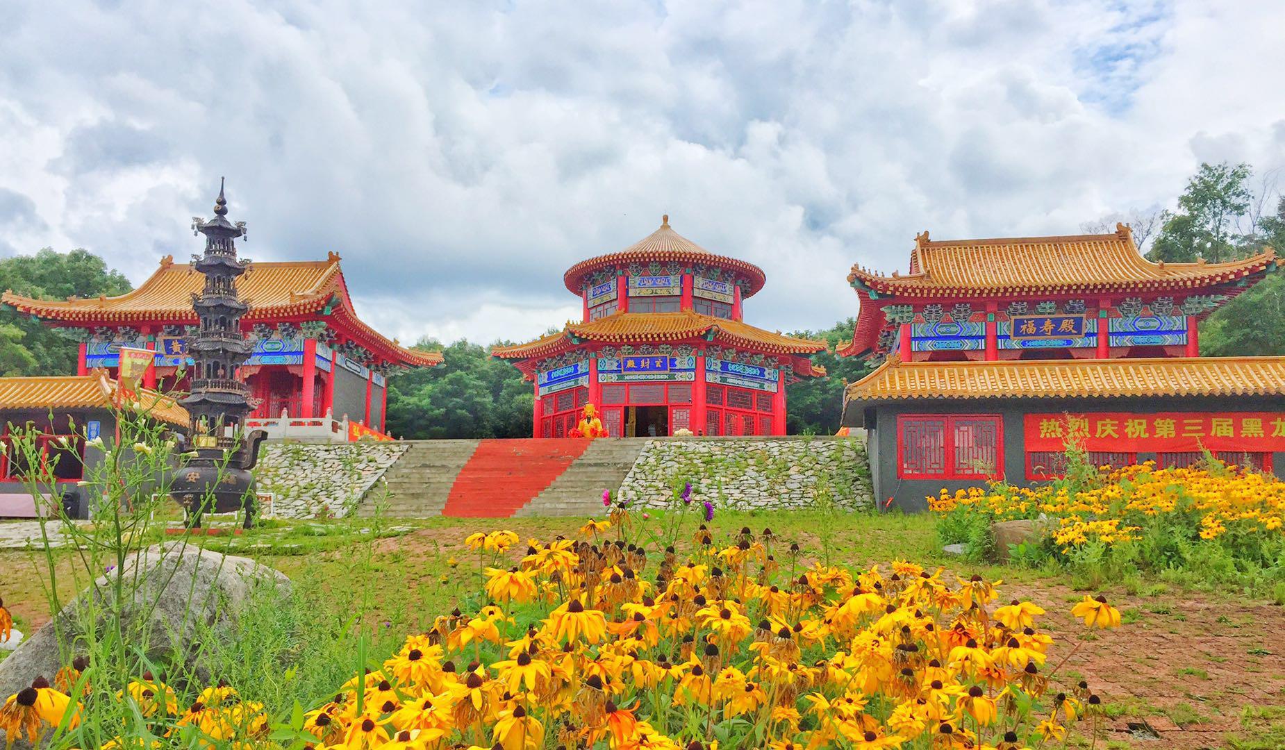 广东省的地龙收购，探寻药材资源的宝藏之地