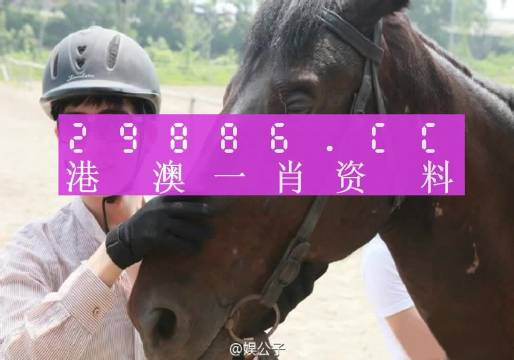 澳门今晚必中一肖一码,公平解释解析落实