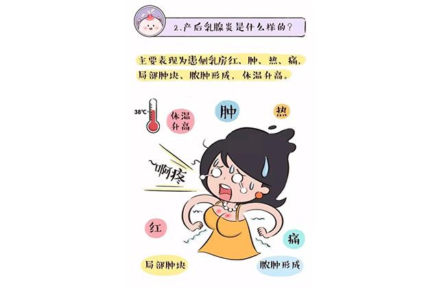 乳房每月疼痛，探寻原因与应对策略