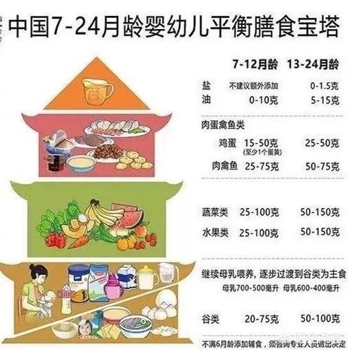 九个月宝宝的饮食营养与银耳的适宜性探讨